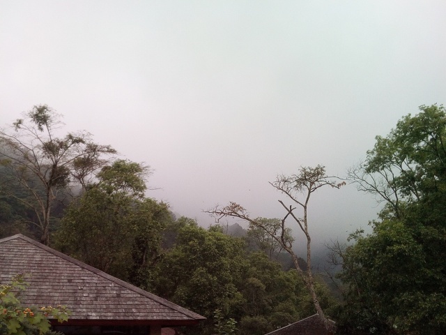 Regen im Regenwald am Doi Inthanon.